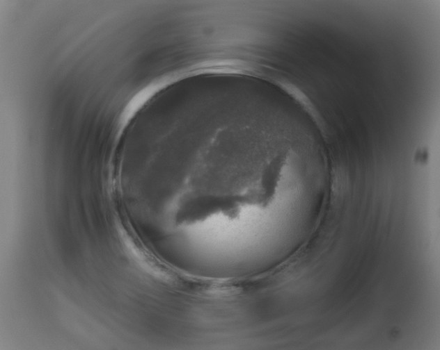 X0000112881466200908281625