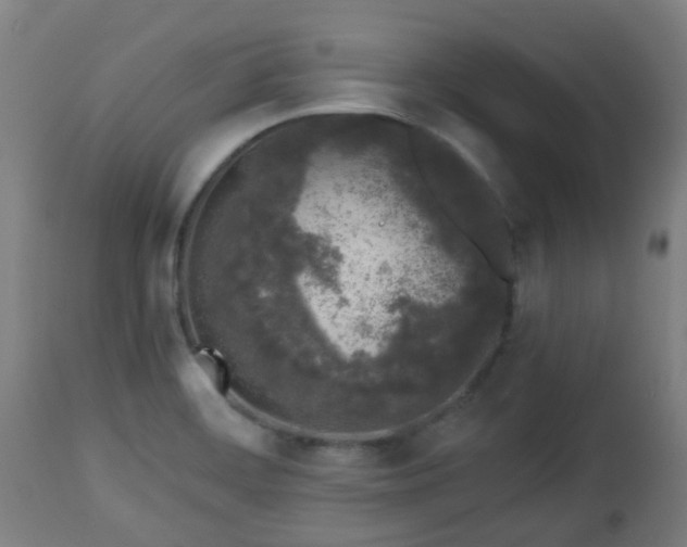 X0000112881468200908281625