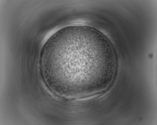 X0000112881469200908281625