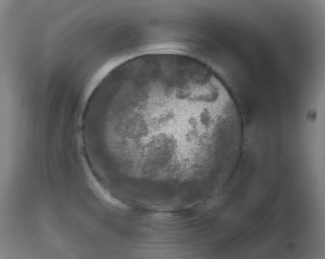 X0000112881470200908281625