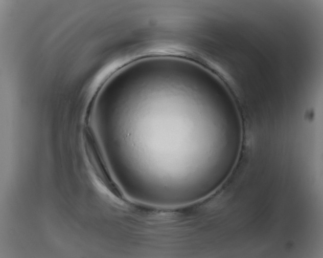 X0000112881471200908281625