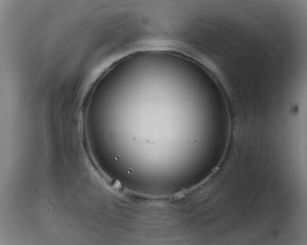 X0000112881472200908281625