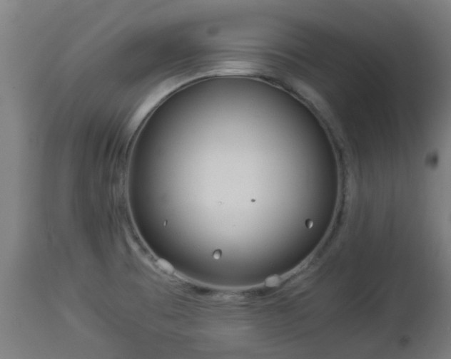 X0000112881473200908281625