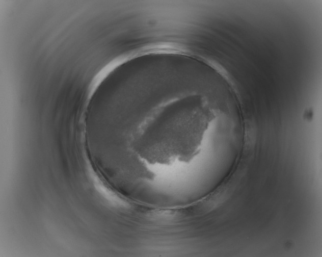 X0000112881474200908281625