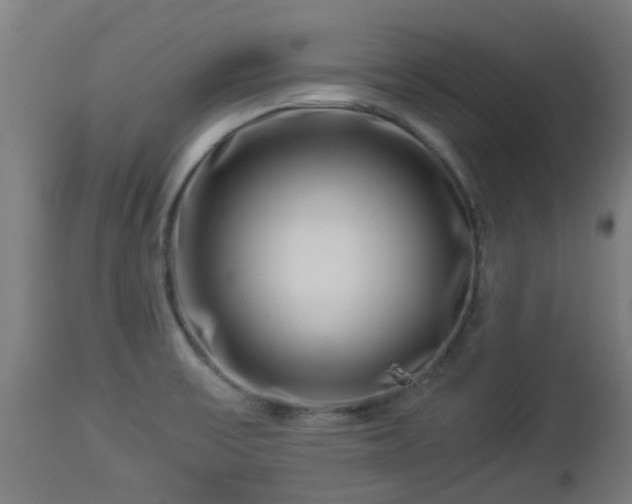 X0000112881475200908281625