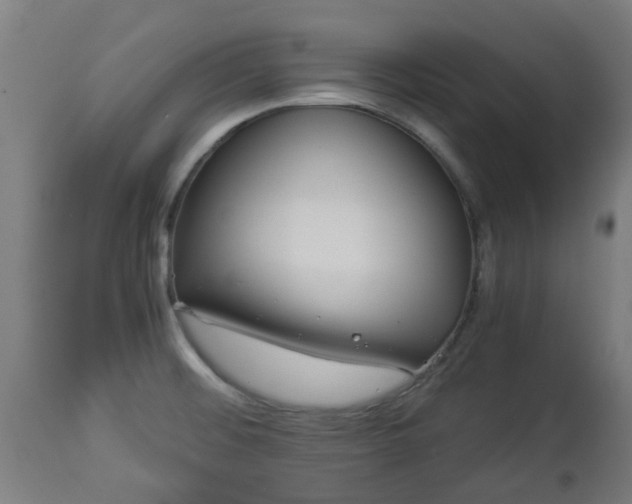 X0000112881476200908281625