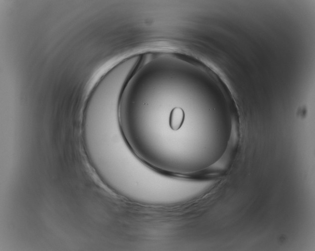 X0000112881477200908281625