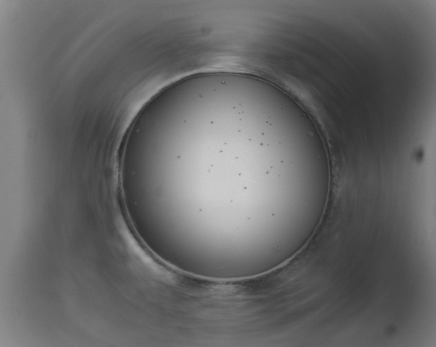 X0000112881479200908281625