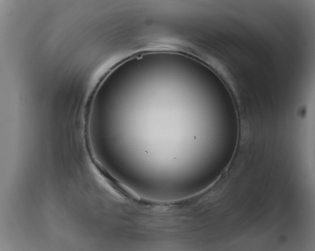 X0000112881480200908281625