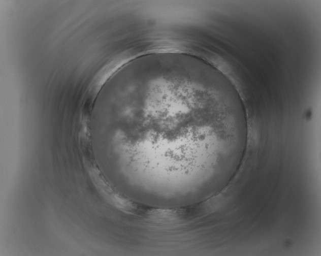 X0000112881481200908281625