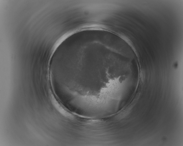 X0000112881482200908281625