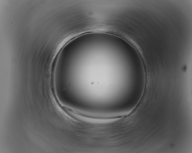 X0000112881483200908281625