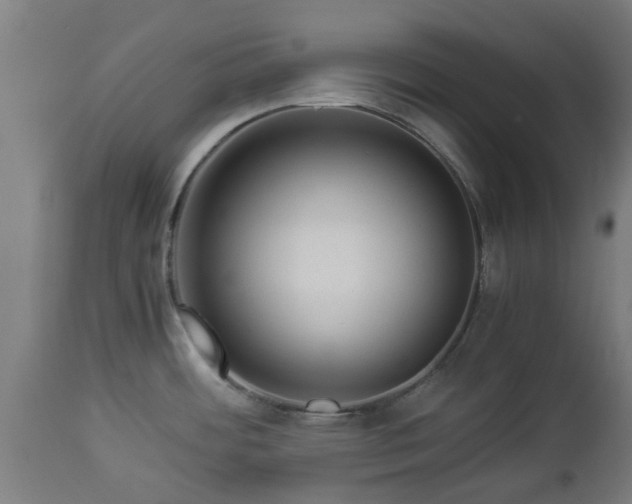 X0000112881484200908281625