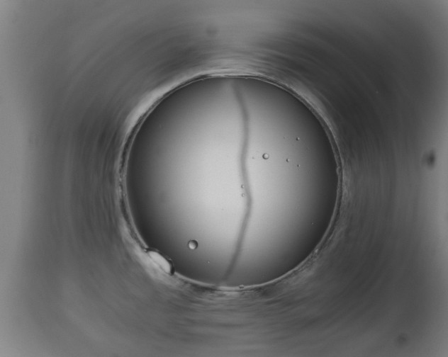 X0000112881485200908281625