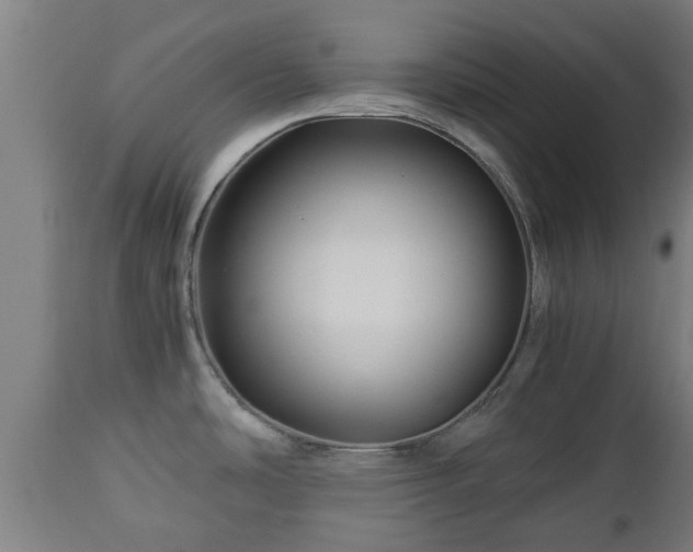 X0000112881486200908281625