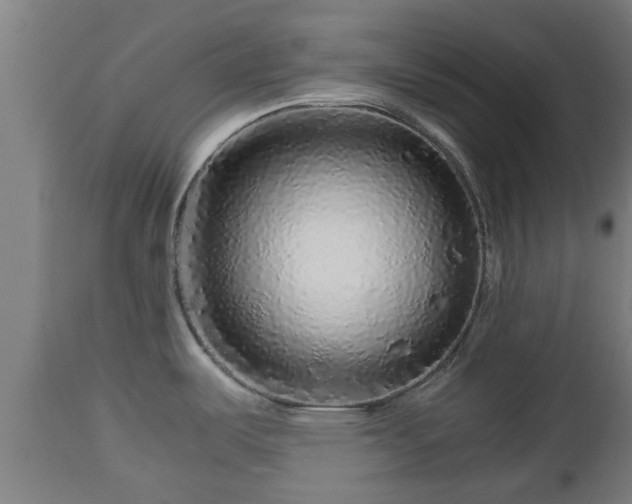 X0000112881487200908281625