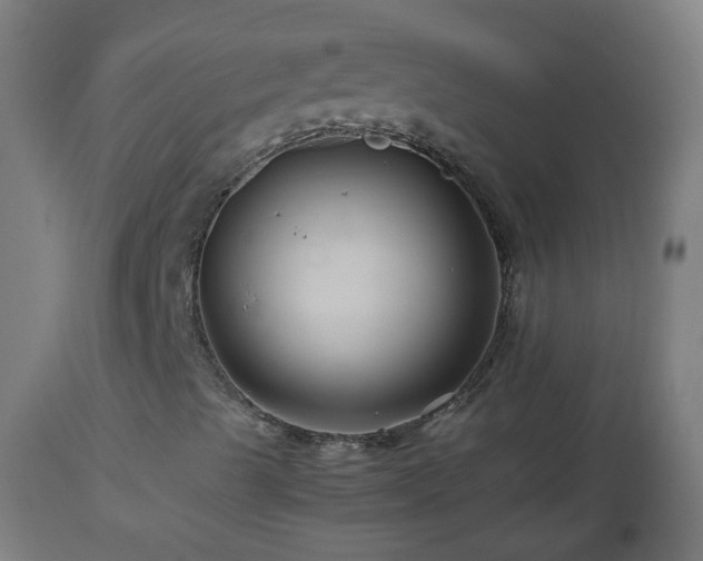 X0000112881489200908281624