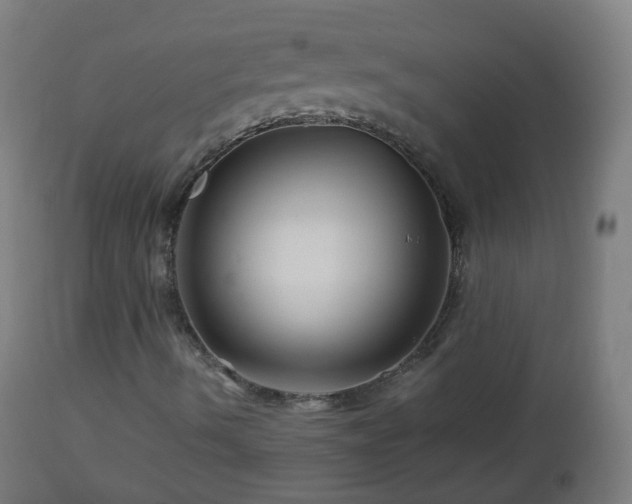 X0000112881490200908281624