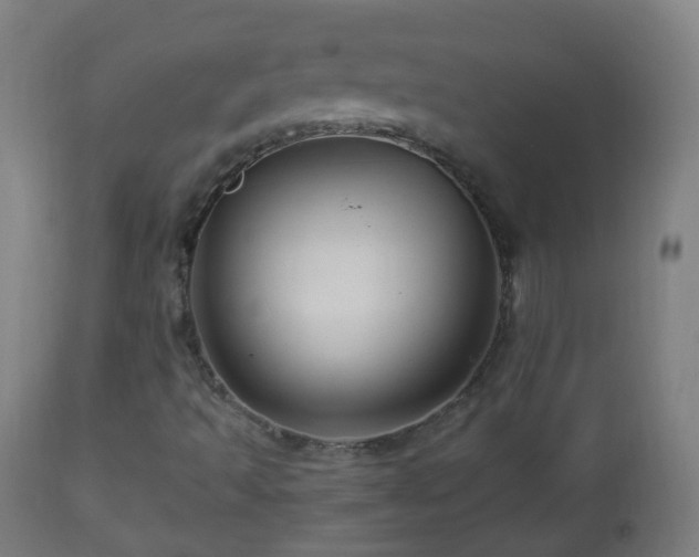 X0000112881493200908281624