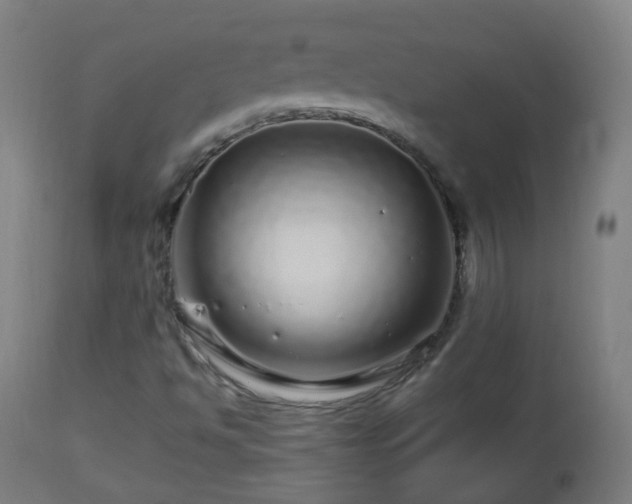 X0000112881494200908281624