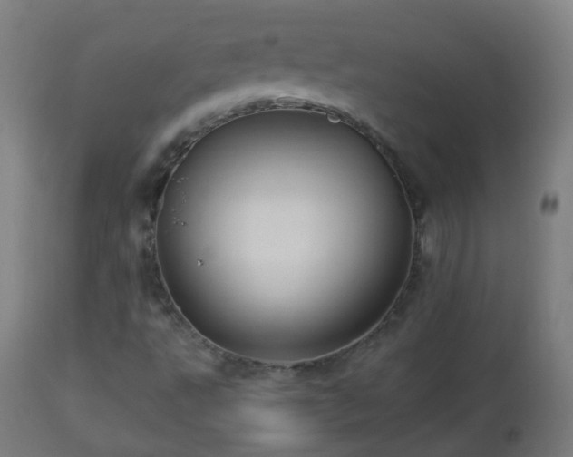 X0000112881495200908281624