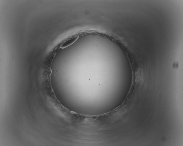 X0000112881496200908281624