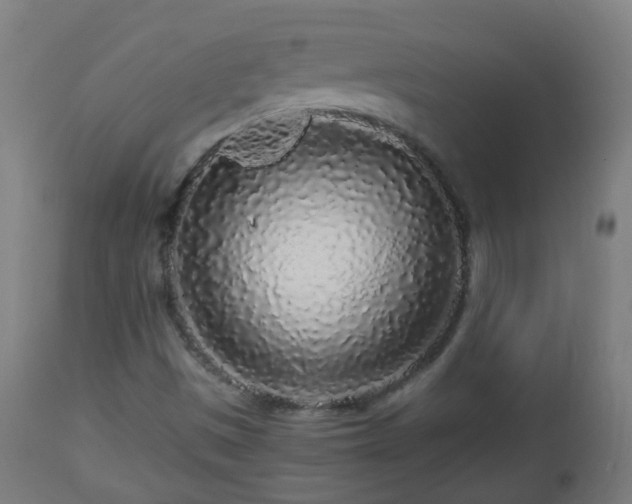 X0000112881497200908281624