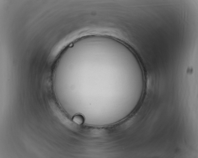 X0000112881498200908281624