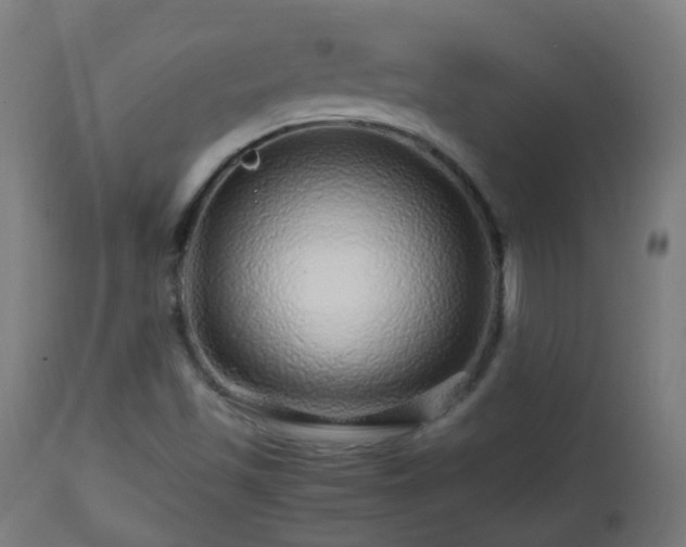 X0000112881501200908281624