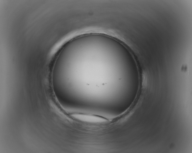 X0000112881502200908281624