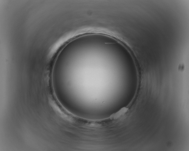 X0000112881503200908281624