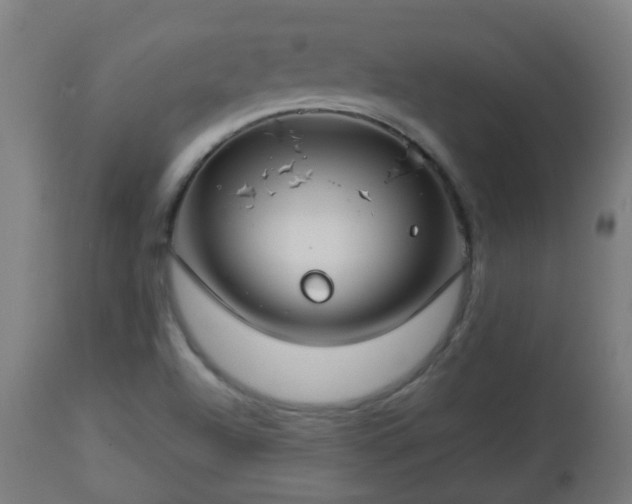 X0000112881504200908281624