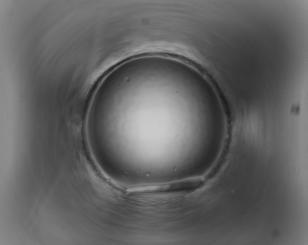 X0000112881505200908281624