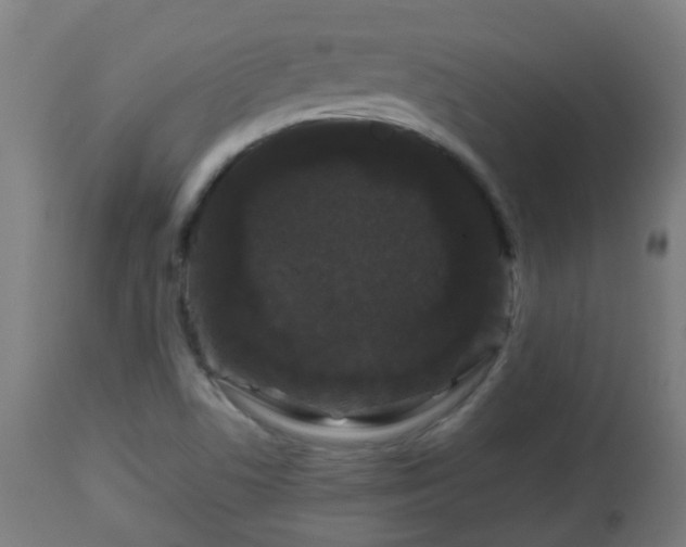 X0000112881506200908281624