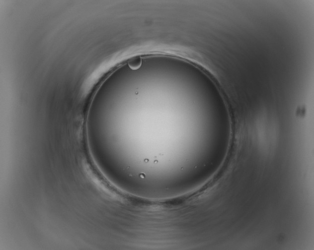 X0000112881507200908281624