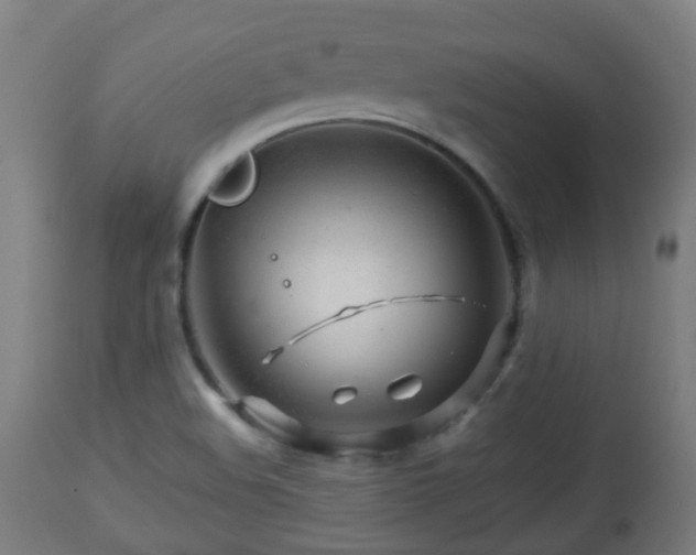 X0000112881508200908281624