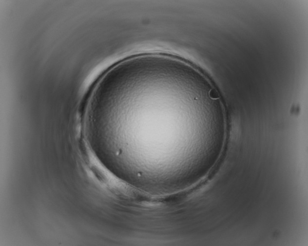 X0000112881509200908281624