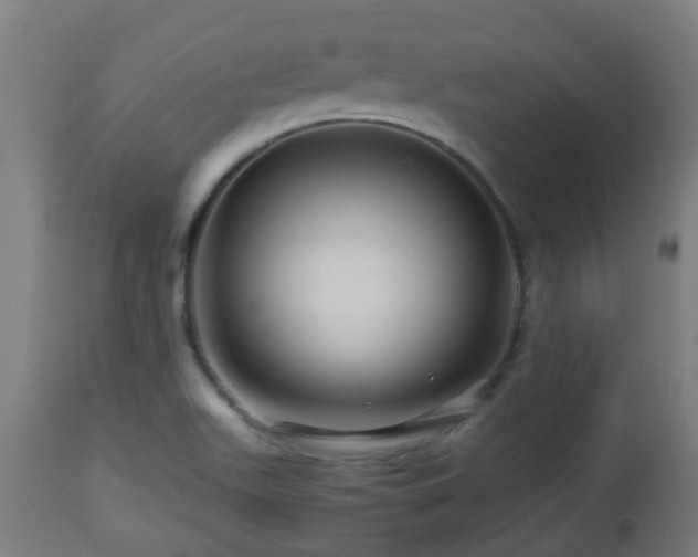 X0000112881511200908281624