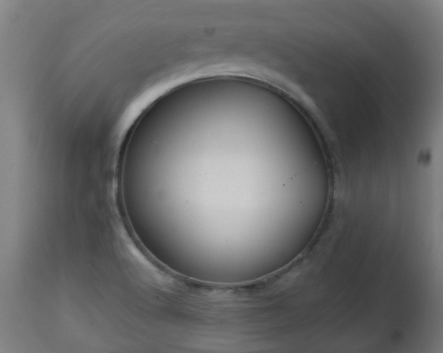 X0000112881512200908281624