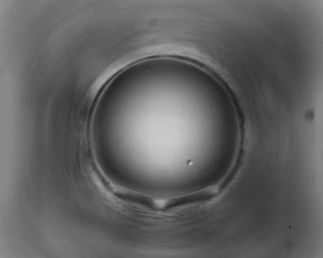 X0000112881513200908281624