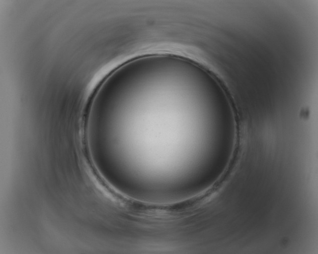 X0000112881517200908281624