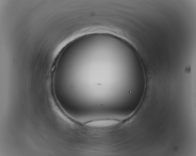 X0000112881518200908281624