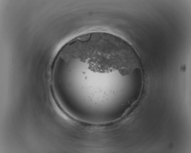 X0000112881519200908281624