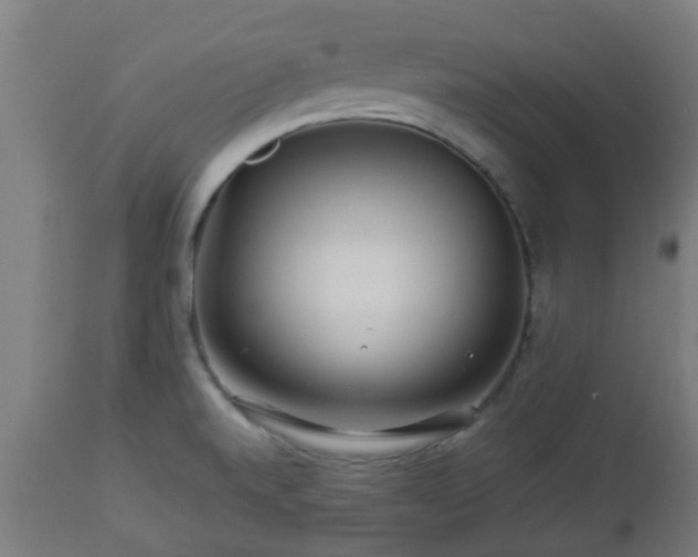 X0000112881520200908281625