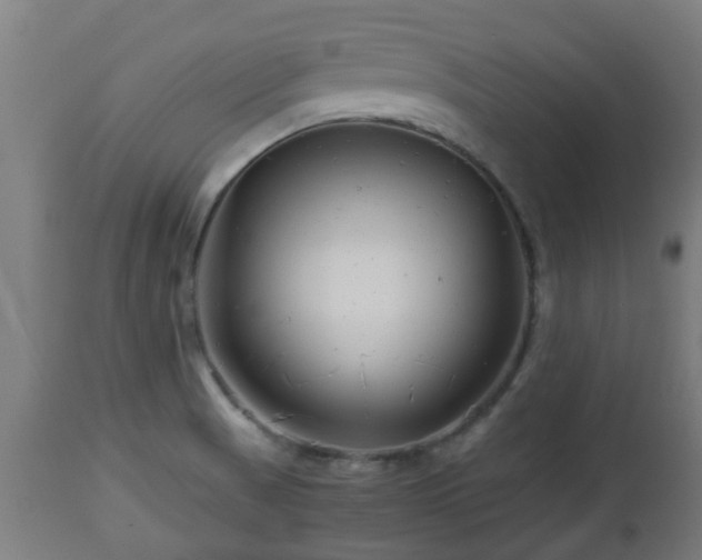 X0000112881521200908281625