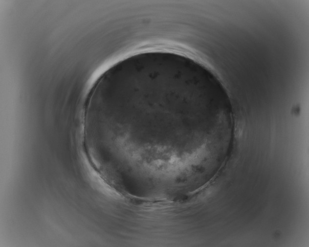 X0000112881522200908281625