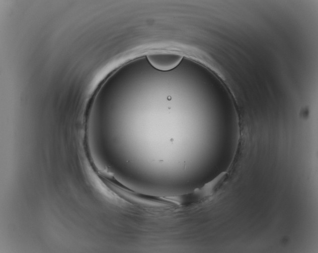 X0000112881523200908281625