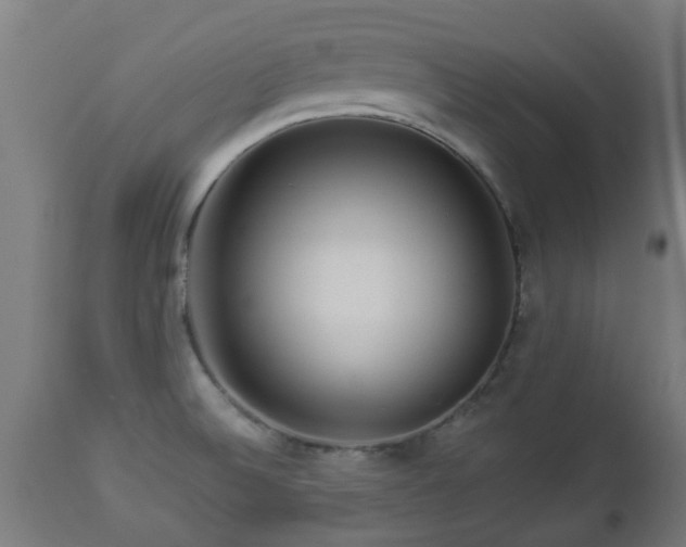 X0000112881524200908281625