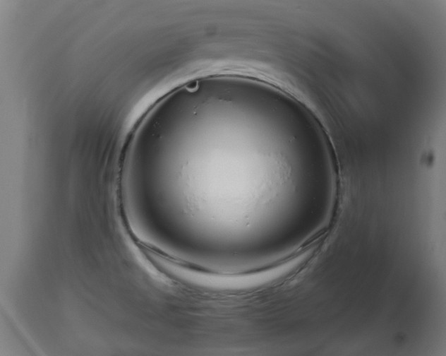 X0000112881525200908281625