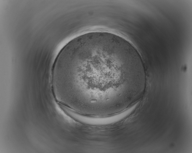 X0000112881527200908281625